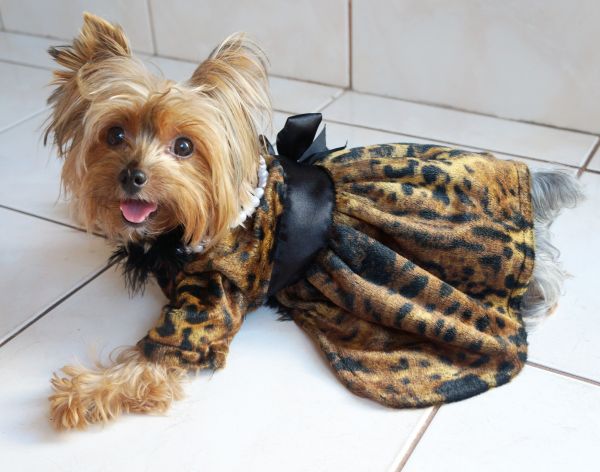 Vestido Animal Print